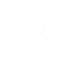 Fine-Grained Access Control